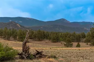63 Rock Creek Way, Jefferson, CO 80456 - Photo 42