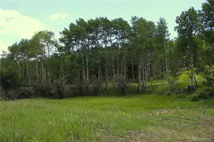 340 Cr90, Lake George, CO 80827 - Photo 22