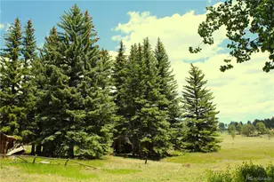 340 Cr90, Lake George, CO 80827 - Photo 20