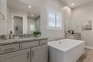 467 Scrubjay Trl, Castle Rock, CO 80104 - Photo 18