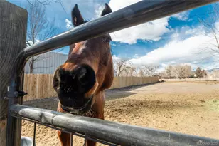 4695 Parfet St, Wheat Ridge, CO 80033 - Photo 42