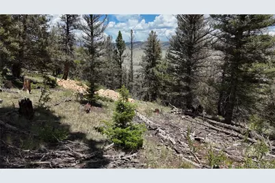 1396 Middle Fork Vista, Fairplay, CO 80440 - Photo 12
