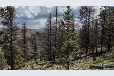 1396 Middle Fork Vista, Fairplay, CO 80440 - Photo 10