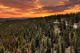 1396 Middle Fork Vista, Fairplay, CO 80440 - Photo 1