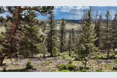1396 Middle Fork Vista, Fairplay, CO 80440 - Photo 2