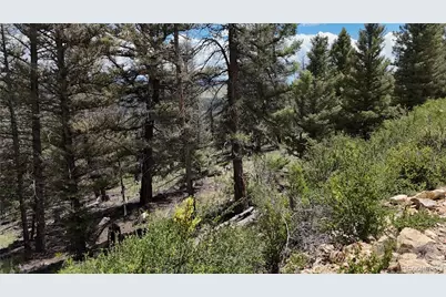 1396 Middle Fork Vista, Fairplay, CO 80440 - Photo 14