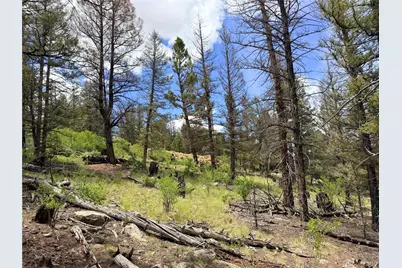 1396 Middle Fork Vista, Fairplay, CO 80440 - Photo 20