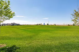 9938 Danube Ct, Commerce City, CO 80022 - Photo 34