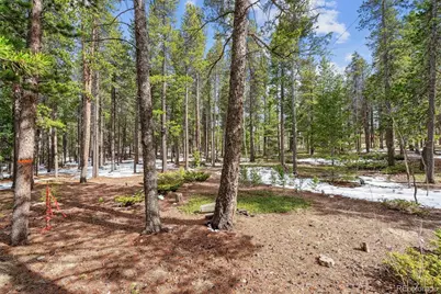 Rock Lake Road, Ward, CO 80481 - Photo 2