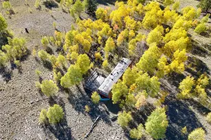 1404 Buffalo Ridge Rd, Como, CO 80432 - Photo 4