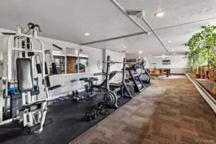 625 N Pennsylvania Street, Denver, CO 80203 - Photo 20