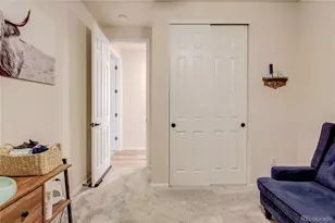 361 N Edge Clf St, Castle Rock, CO 80104 - Photo 26