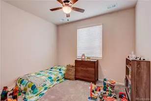 361 N Edge Clf St, Castle Rock, CO 80104 - Photo 24