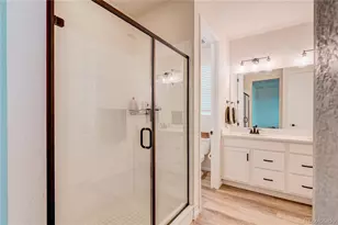 361 N Edge Clf St, Castle Rock, CO 80104 - Photo 20