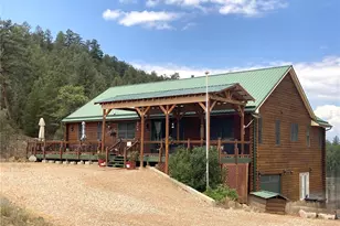 1420 Coyote Run, Cotopaxi, CO 81223 - Photo 4