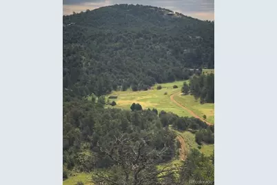 1420 Coyote Run, Cotopaxi, CO 81223 - Photo 24