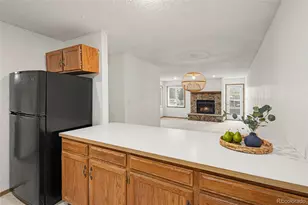 1050 Magic Lamp Way, Monument, CO 80132 - Photo 16