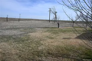 13675 Lanewood, Brighton, CO 80603 - Photo 6