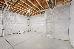 13823 Daffodil Way, Parker, CO 80134 - Photo 42