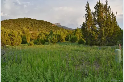 406 Riata Drive, Trinidad, CO 81082 - Photo 4