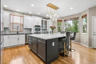 10835 Hickory Ridge Ln, Highlands Ranch, CO 80126 - Photo 4