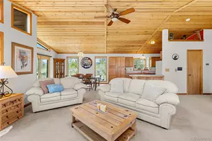 408 Foxtail Ln, Fairplay, CO 80440 - Photo 10