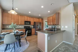 460 High Plains St, Castle Rock, CO 80104 - Photo 18