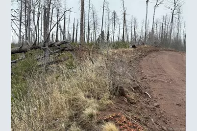 Lot 1960 Hilda Lane, Fort Garland, CO 81133 - Photo 4