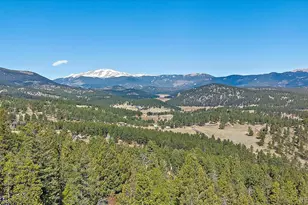 48 High View Ln, Bailey, CO 80421 - Photo 30