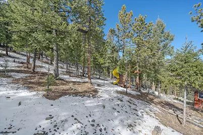 48 High View Lane, Bailey, CO 80421 - Photo 42