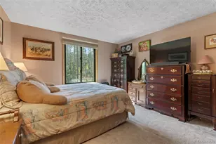 599 American Way, Breckenridge, CO 80424 - Photo 20