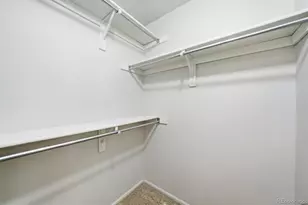 6843 S Everett St, Littleton, CO 80128 - Photo 18