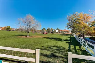 1190 Opal St, Broomfield, CO 80020 - Photo 24