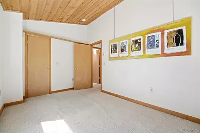 7101 County Road 43, Bailey, CO 80421 - Photo 16