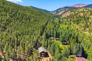 7101 Co Rd 43, Bailey, CO 80421 - Photo 28
