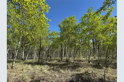 275 Oxen Court, Hartsel, CO 80449 - Photo 8