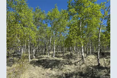 275 Oxen Court, Hartsel, CO 80449 - Photo 10