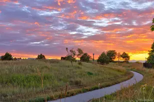 9221 E 33rd Ave, Denver, CO 80238 - Photo 48