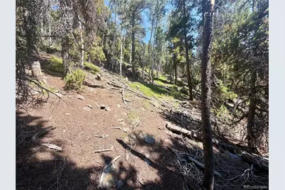 0 Lodgepole Circle, Evergreen, CO 80439 - Photo 16