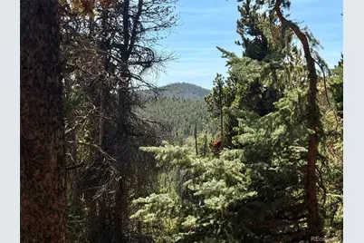0 Lodgepole Circle, Evergreen, CO 80439 - Photo 6