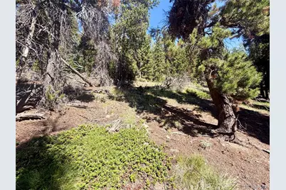 0 Lodgepole Circle, Evergreen, CO 80439 - Photo 22