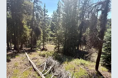 0 Lodgepole Circle, Evergreen, CO 80439 - Photo 20