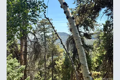 0 Lodgepole Circle, Evergreen, CO 80439 - Photo 10