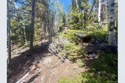 0 Lodgepole Circle, Evergreen, CO 80439 - Photo 8