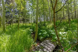 723 Chalice Dr, Westcliffe, CO 81252 - Photo 10