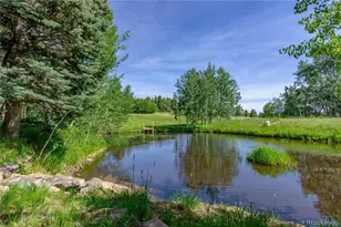 723 Chalice Dr, Westcliffe, CO 81252 - Photo 34