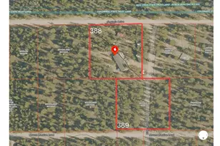 388 Sequoia Dr, Twin Lakes, CO 81251 - Photo 4