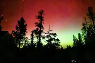 388 Sequoia Dr, Twin Lakes, CO 81251 - Photo 38