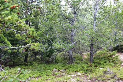 5285 Lucy Agnes, Black Hawk, CO 80422 - Photo 4