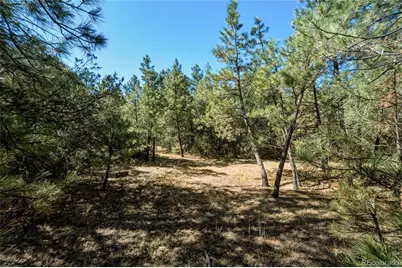 93 Blackhawk Ranch, Walsenburg, CO 81089 - Photo 12